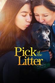 Pick of the Litter: Saison 1