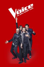 The Voice : La Plus Belle Voix: Saison 2
